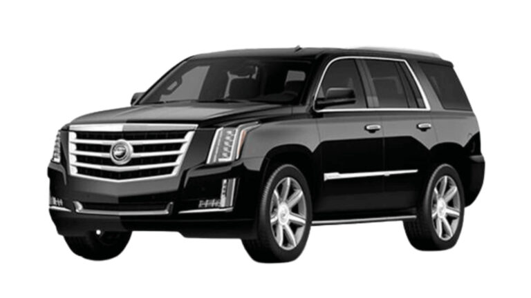 ghfhgf-min-1-1-768x432